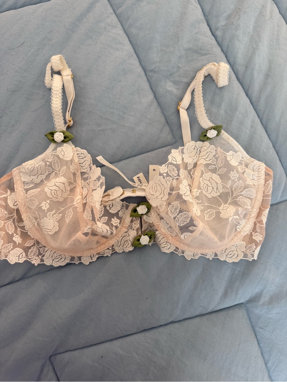 For Love And Lemons Blush Lace Underwire Bra with Green Rosebud Trim